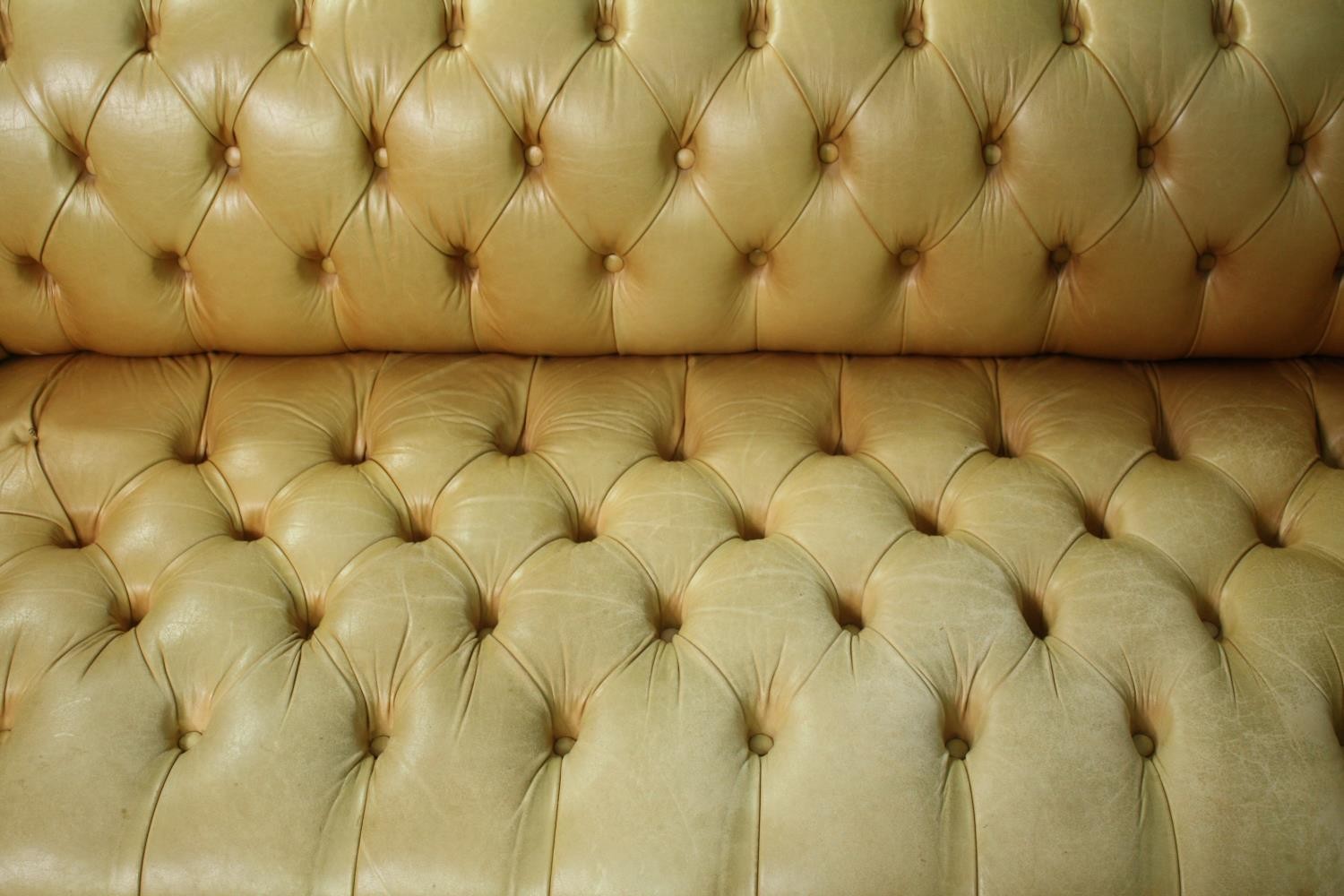 Chesterfield sofa, Victorian style in deep buttoned and studded leather upholstery raised on - Image 7 of 8