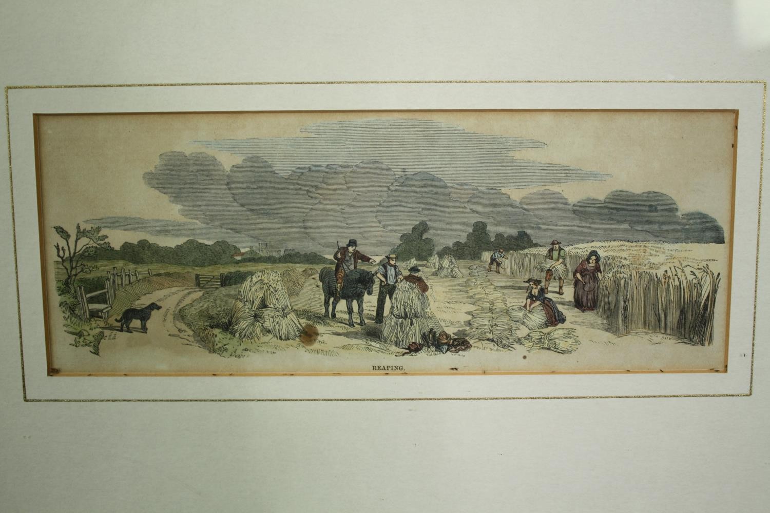 A set of three 19th century hand coloured engravings of agricultural interest, framed and glazed. - Image 5 of 8