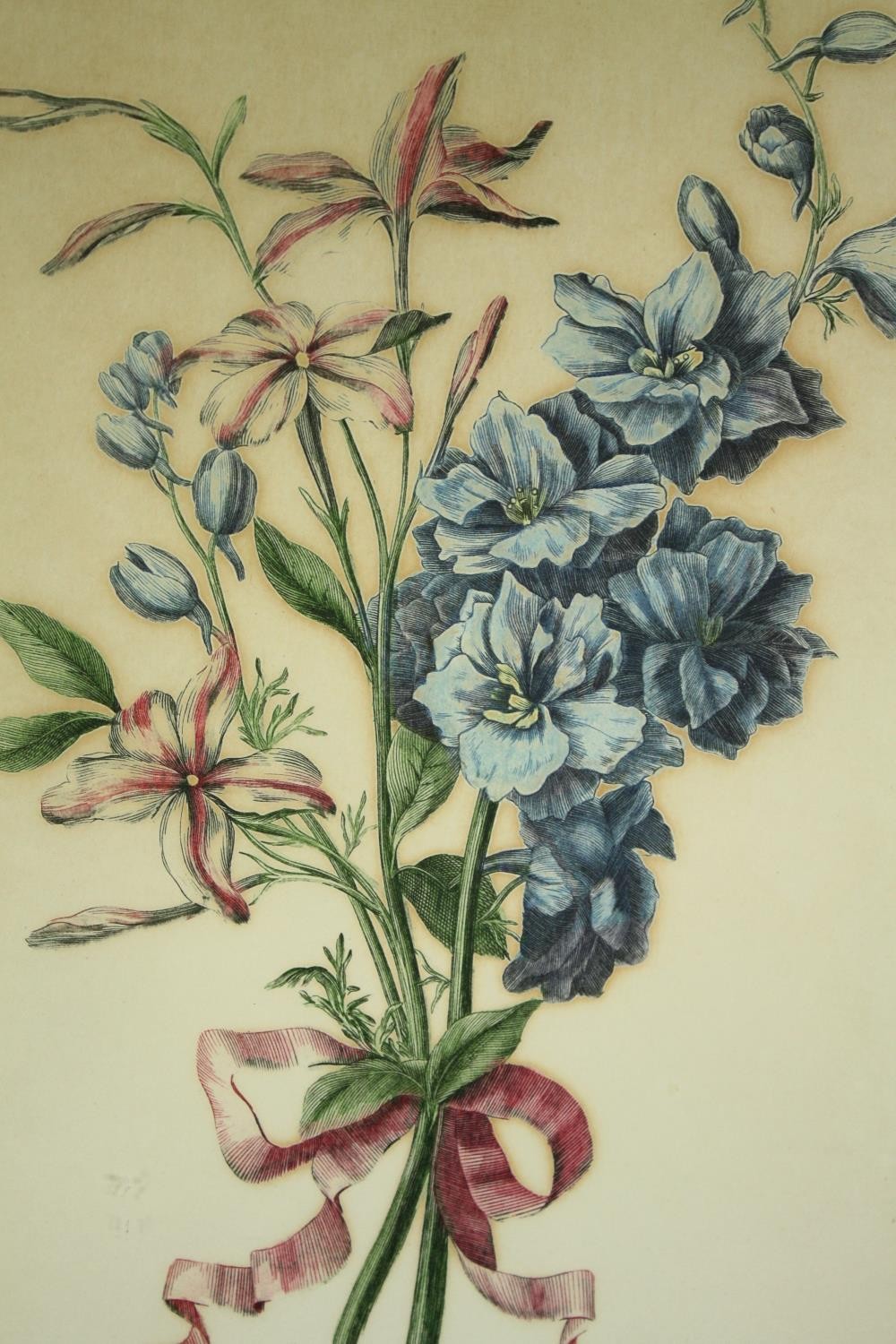 A set of three 19th century hand coloured engravings, wild flowers, framed and glazed. H.35 W. - Image 3 of 7