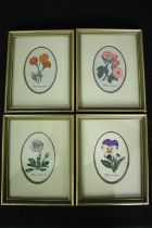 Four woven silkwork pictures, flowers and their latin names, framed and glazed. H.19 W.15cm. (each).