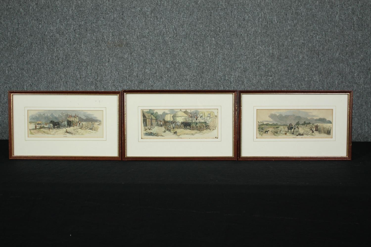 A set of three 19th century hand coloured engravings of agricultural interest, framed and glazed.