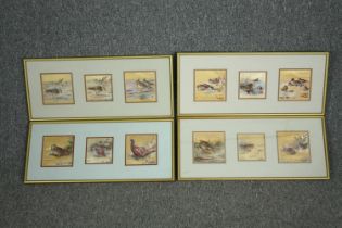 A set of twelve watercolour studies of waterfowl, set in four frames. H.27 W.63cm. (each) One