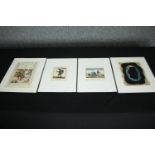 A miscellaneous collection of four 19th century hand coloured engravings. H.33 W.26cm. (largest)