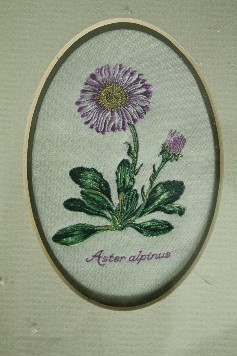 Four woven silkwork pictures, flowers and their latin names, framed and glazed. H.19 W.15cm. (each). - Image 2 of 10