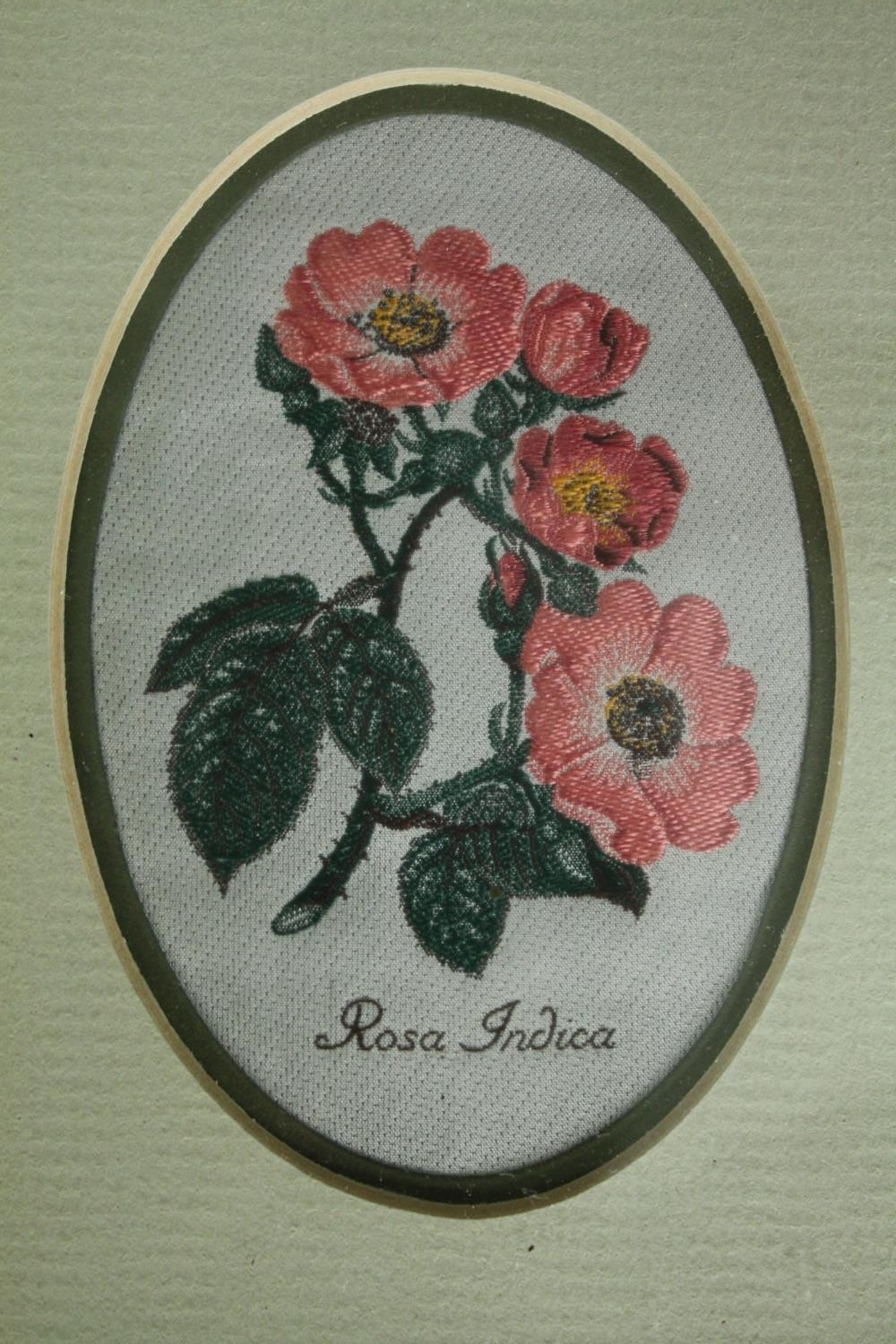 Four woven silkwork pictures, flowers and their latin names, framed and glazed. H.19 W.15cm. (each). - Image 4 of 10