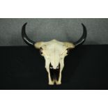 A moulded resin buffalo skull and horns. H.70 W.58cm.