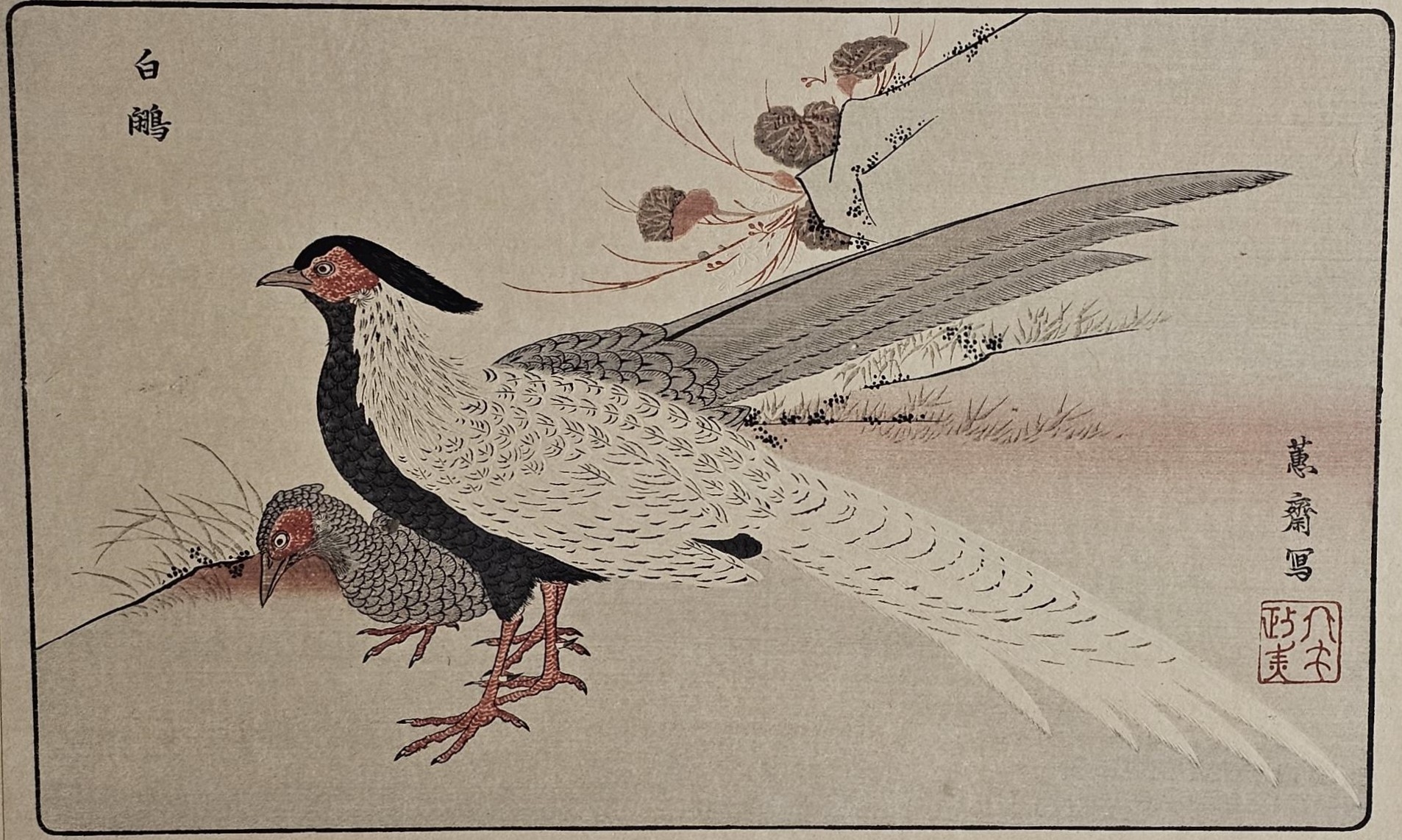 Kitao Masayoshi (1764-1824), woodblock print, silver pheasants. H.46 W.33cm.