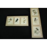 Six watercolours in two frames, domestic birds, monogrammed. H.54 W.18cm. (largest).