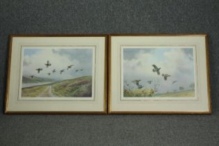 A pair of framed and glazed J C Harrison prints, game birds in flight. H.60 W.70cm. (each)