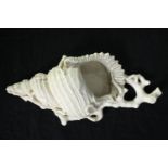A 19th century Royal Worcester shell shaped wall pocket. L.28cm.