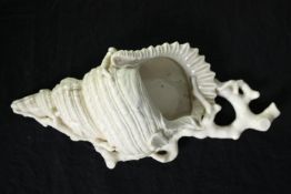 A 19th century Royal Worcester shell shaped wall pocket. L.28cm.