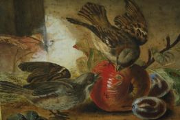 A late 19th century watercolour, glazed and in a carved oak frame, birds and fruit, initialled