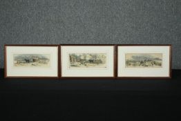 A set of three 19th century hand coloured engravings of agricultural interest, framed and glazed.