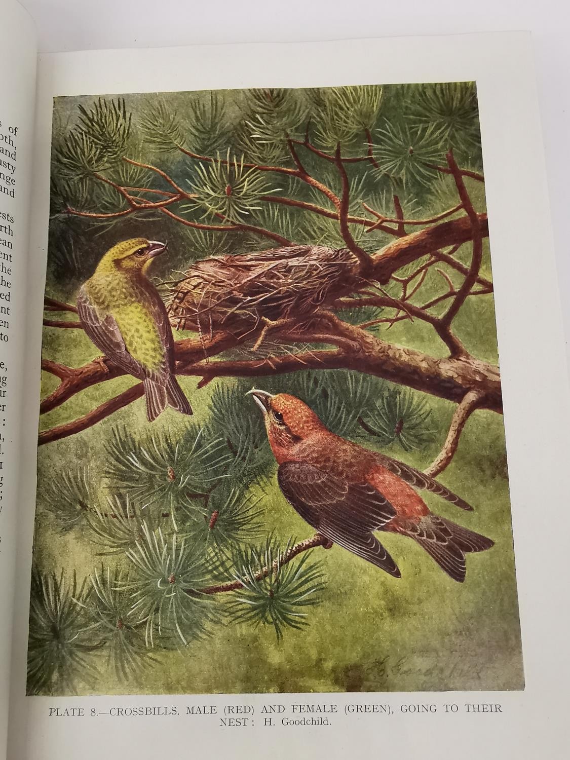 A book, 'British Birds' by Kirkman and Jourdain, 1943. Red leather binding to spine and corners, - Image 9 of 10