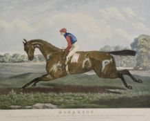 An unframed 19th century hand coloured engraving of the race horse Monarque. H.65 W.85cm.