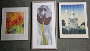 Three modern framed and glazed prints. Largest H.100 W.50cm.