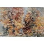 A framed and glazed watercolour, trees in autumn, signed and dated Richard R Harris. H.73 W.96cm.