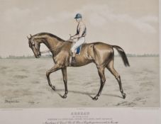 An unframed 19th century hand coloured engraving of the race horse Arreau. H.60 W.80cm.
