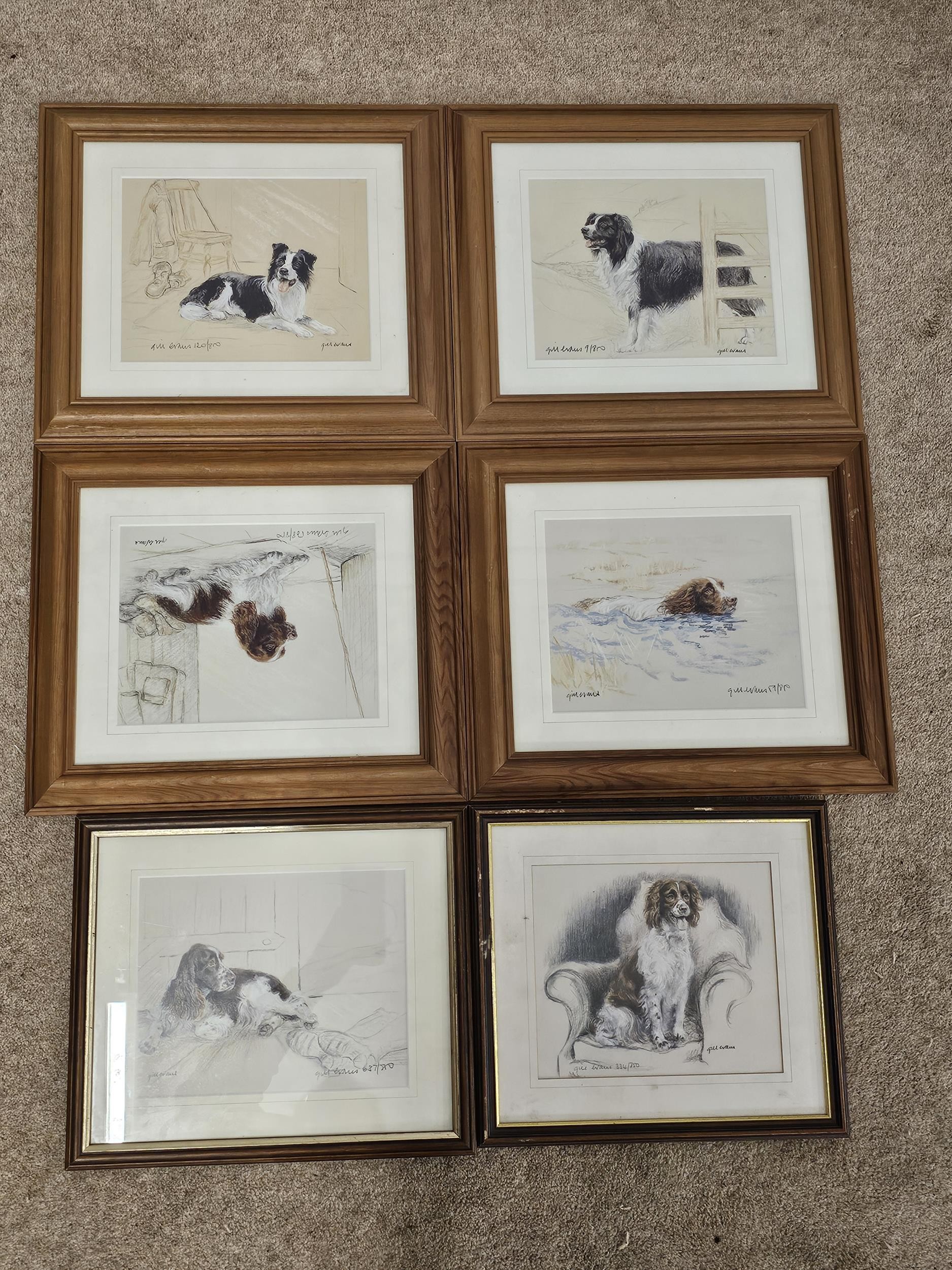 A set of four framed and glazed signed limited edition prints. H.35 W.40cm. - Image 9 of 10