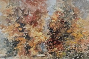 A framed and glazed watercolour, trees in autumn, signed and dated Richard R Harris. H.73 W.96cm.