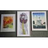 Three modern framed and glazed prints. Largest H.100 W.50cm.