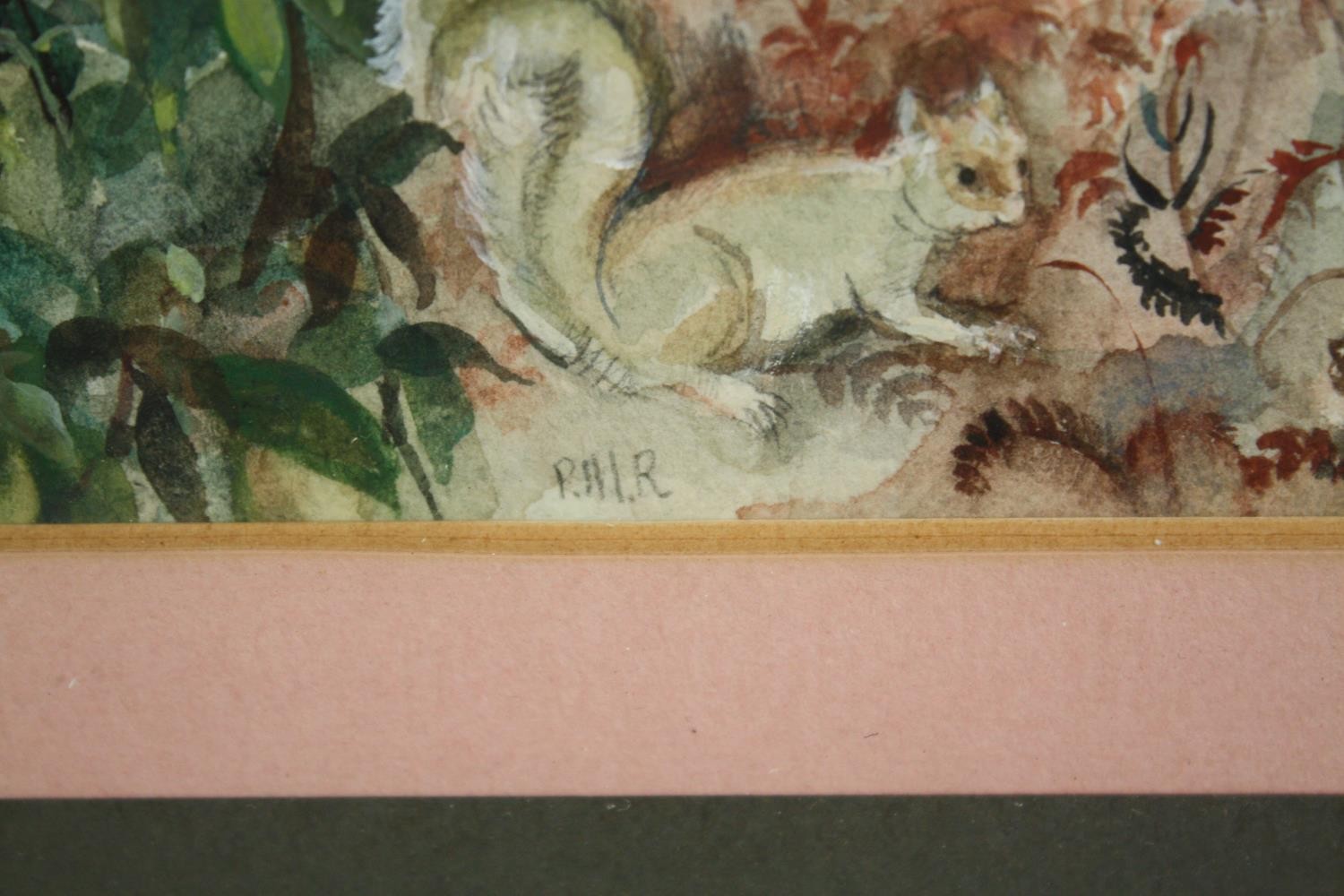 A framed and glazed watercolour, initialled PMR, label to reverse; A Walk in Richmond Park. H.37 W. - Image 3 of 5