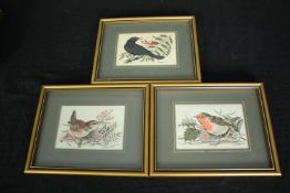 Three woven silkwork pictures of songbirds, framed and glazed. H.15 W.19cm. (each).