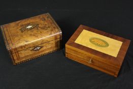 Two 19th century inlaid boxes; Victorian walnut and satinwood conch and olivewood inlaid. H.13 W.
