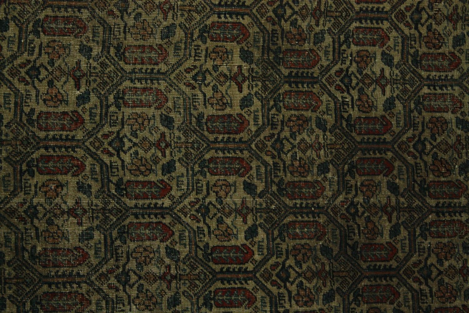 A Kashan carpet with repeating boteh motifs across the field within broad naturalistic foliate - Image 3 of 5