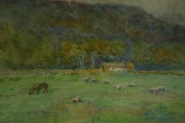 A framed and glazed watercolour, rural landscape with sheep, initialled bottom right. H.26 W.39cm.