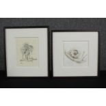 A framed and glazed etching of a snail along with a pencil drawing of a melting four leaf clover.