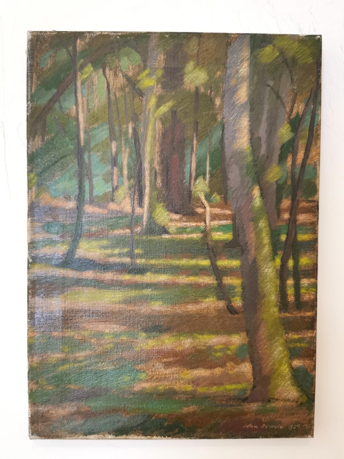 John Powell (British, 20th century), oil on canvas of sunlight in a woodland, signed John Powell - Image 10 of 11