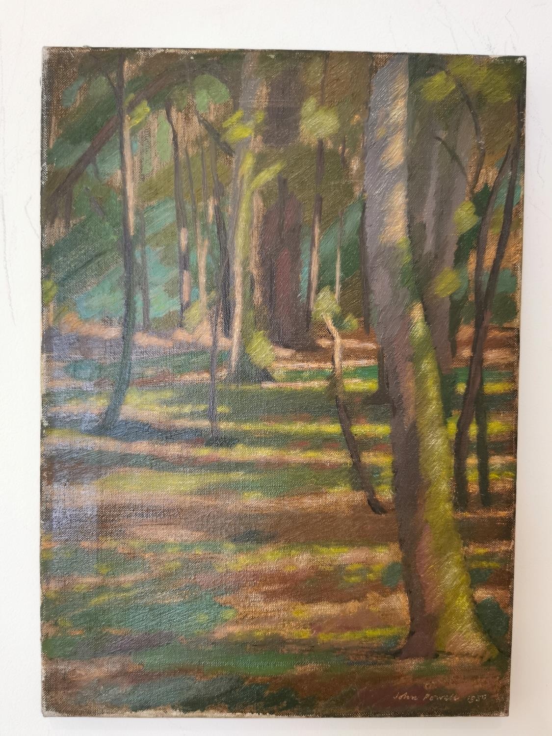 John Powell (British, 20th century), oil on canvas of sunlight in a woodland, signed John Powell - Image 9 of 11