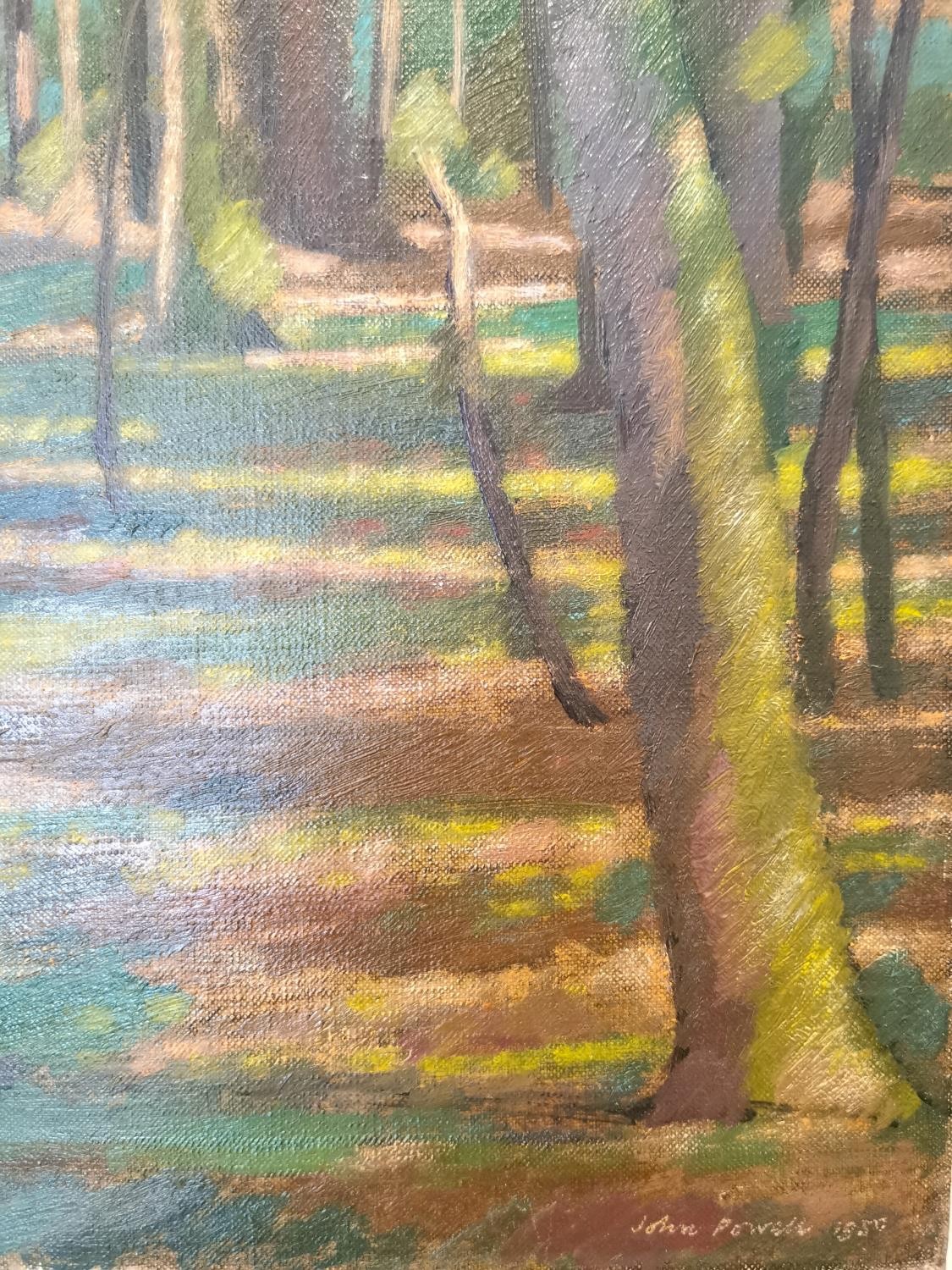 John Powell (British, 20th century), oil on canvas of sunlight in a woodland, signed John Powell - Image 4 of 11
