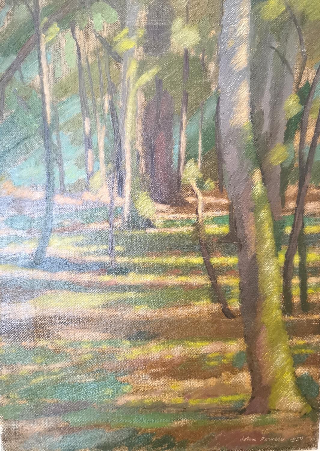 John Powell (British, 20th century), oil on canvas of sunlight in a woodland, signed John Powell - Image 8 of 11