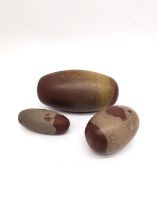 Three polished Indian Shiva Lingam stones of elongated egg form. Longest 18cm.