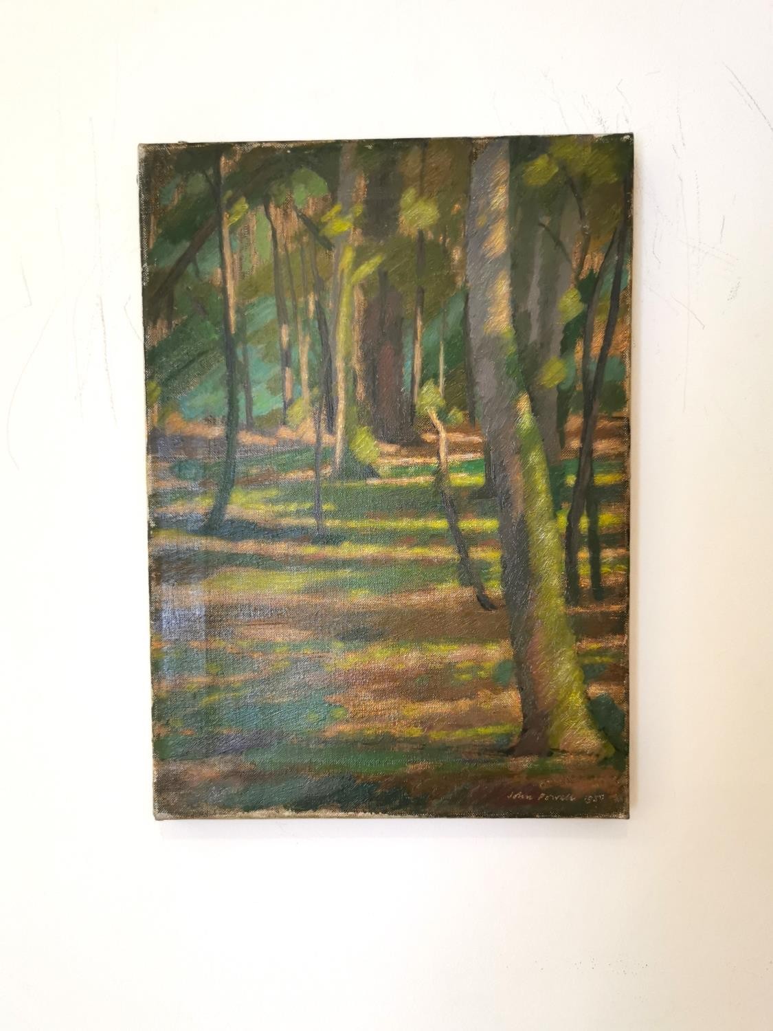 John Powell (British, 20th century), oil on canvas of sunlight in a woodland, signed John Powell - Image 2 of 11