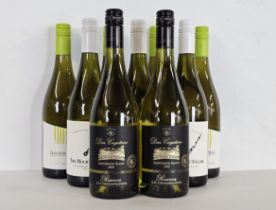 Don Cayetano - Sauvignon Blanc Reserva 2020 - 75cl x 2 bottles and 2020 Seifried 'Nelson Bay'