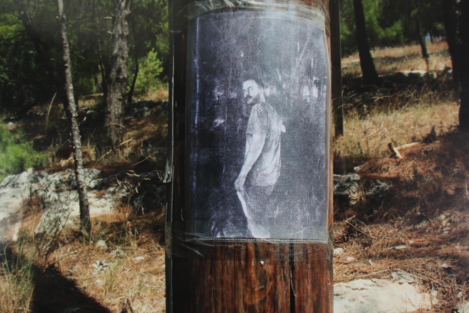 A framed modern photo of a poster on a tree. H.69 W.102cm.