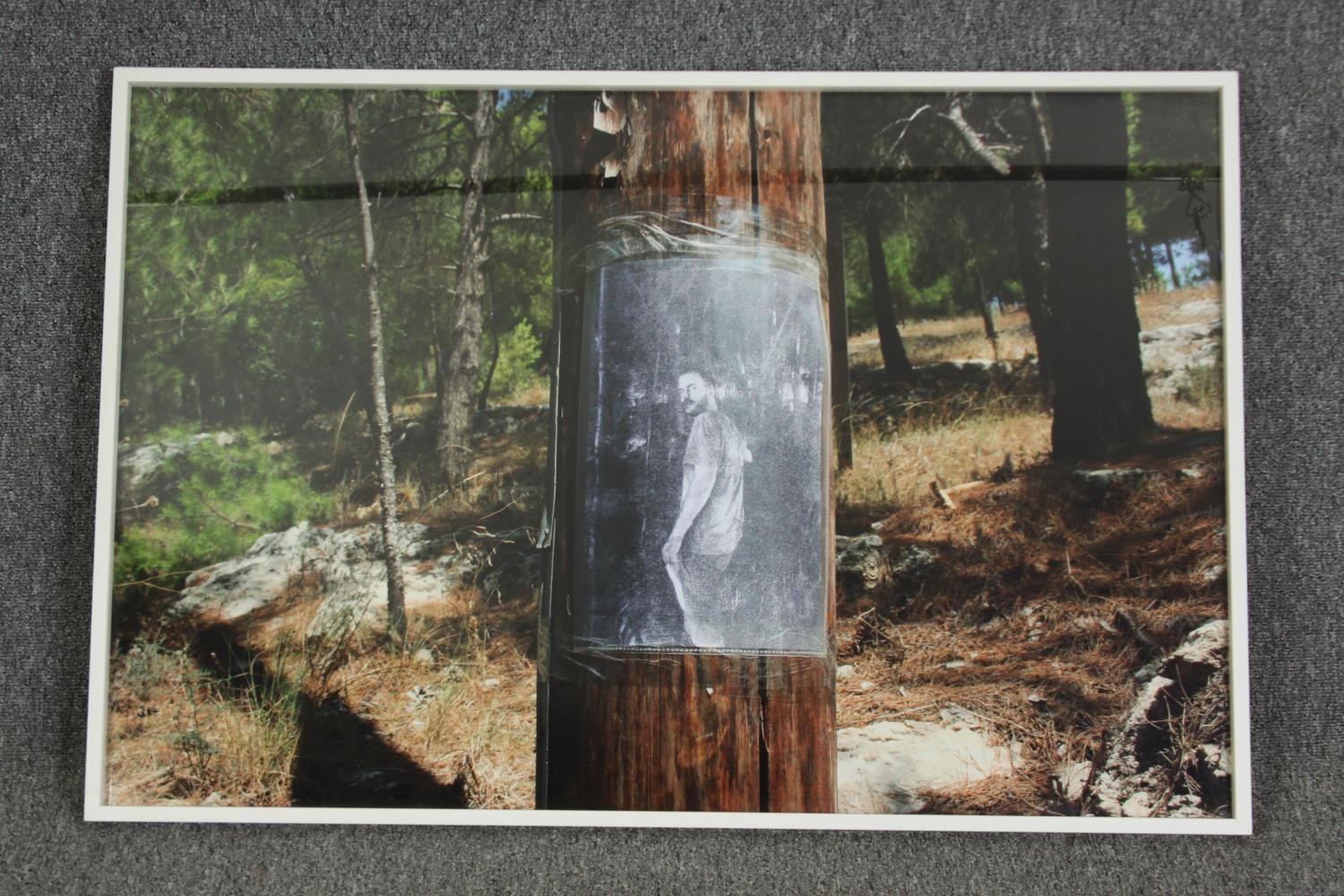 A framed modern photo of a poster on a tree. H.69 W.102cm. - Image 2 of 3