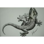 A pen and wash drawing of a lizard, signed Jack Foreman, in a gilt glazed frame. H.27 W.31cm.