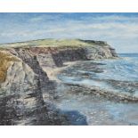 A modern oil on board, of cliffs, signed G Riley, within a giltwood frame. H.60 W.72cm.