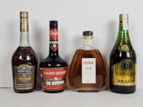 A collection of cognac and brandy, to include a Hine Rare V.S.O.P Fine Champagne Cognac, France,