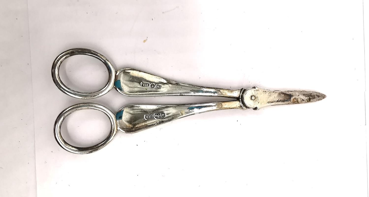 A pair of Victorian engraved silver grape scissors by Henry Atkins decorated with scrolling - Bild 5 aus 5