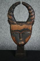 † A carved African tribal ceremonial mask with twisted horns. H.37cm.