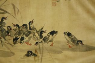 A Japanese watercolour, ducks, framed and glazed. H.30 W.37cm.