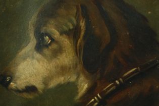 T. Holt, a 19th century English School oil on board, a portrait of a hound, signed and dated 89. H.
