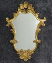 Ornate gilt framed wall mirror, 70 x 50 cm.