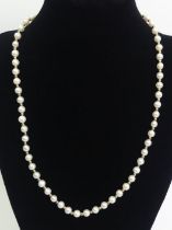 9ct gold and cultured pearl necklace, 14.8 grams, 46cm x 5.5cm.