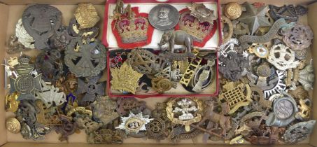 A large collection of Military cap badges (over 100) including a 19th Alexander P.W.O Hussars